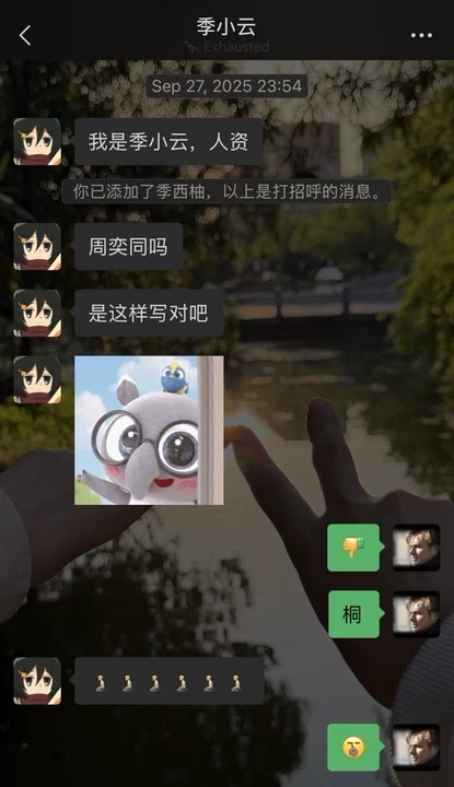 描述